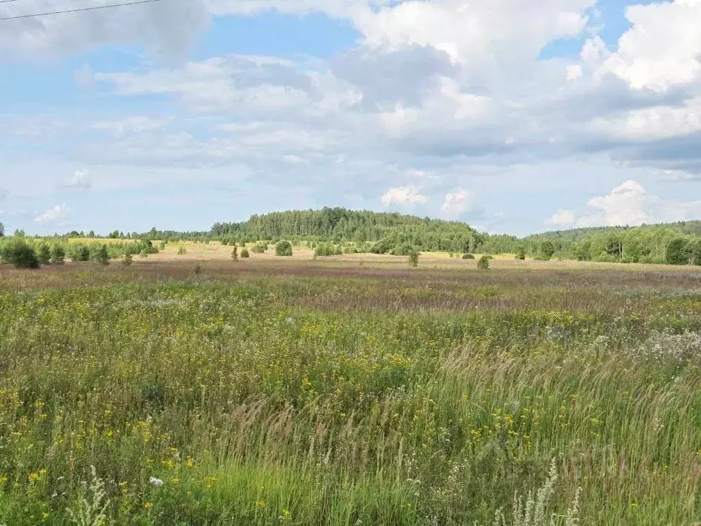 Участок в Калужская область, Дзержинский муниципальный округ, Барсуки ... - Фото 1