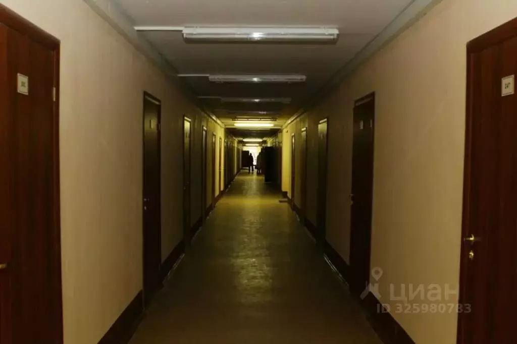 Офис в Москва ул. 2-я Энтузиастов, 5к41 (382 м) - Фото 1