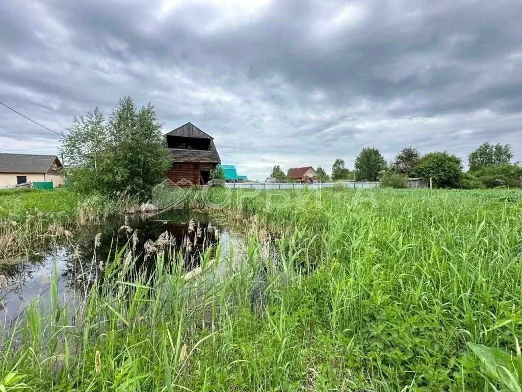 Участок в Тюменская область, Тюмень Садовое товарищество Липовый ... - Фото 1