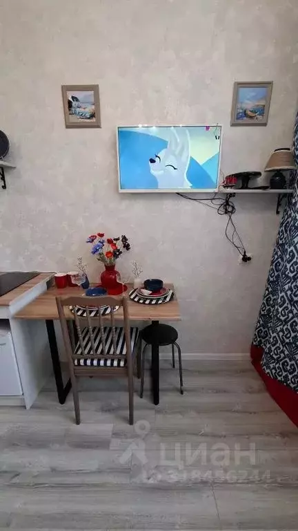 Студия Татарстан, Казань ул. 25 Октября, 13/6 (12.0 м) - Фото 1