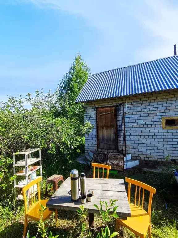 Дом в Алтайский край, Павловский район, Восход СНТ 140 (40 м) - Фото 1
