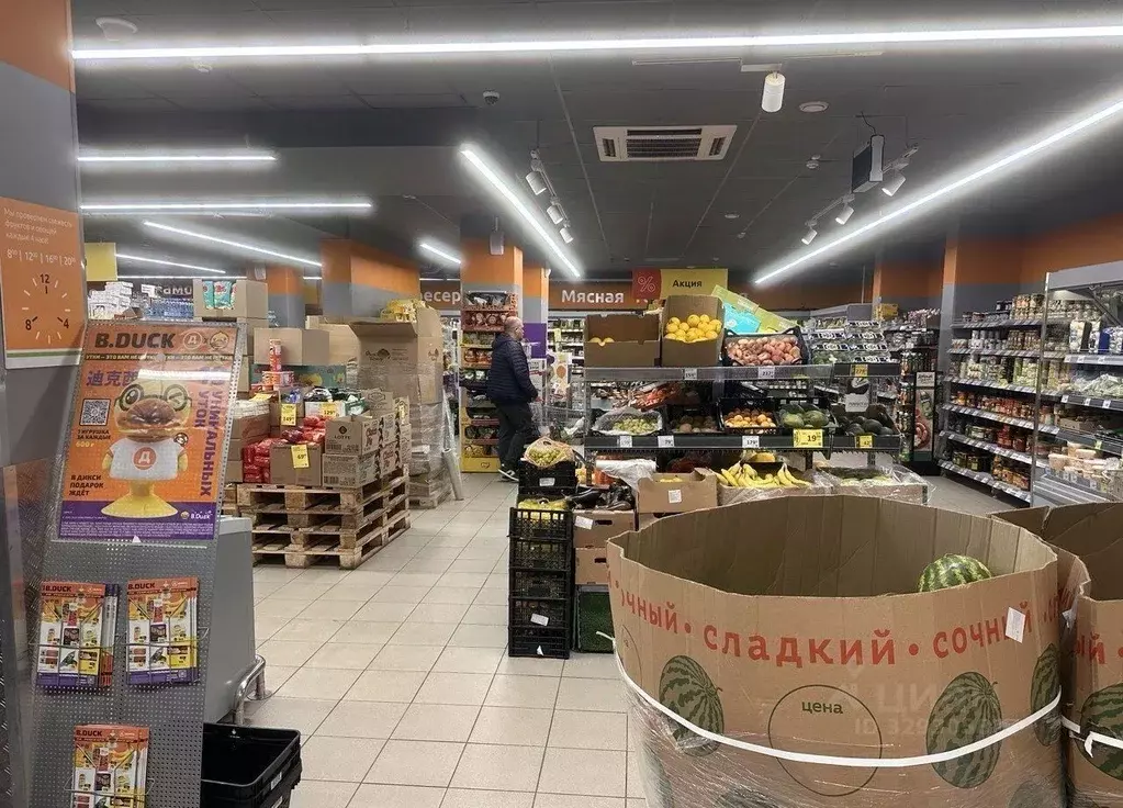 Торговая площадь в Московская область, Балашиха Салтыковка мкр, ... - Фото 2