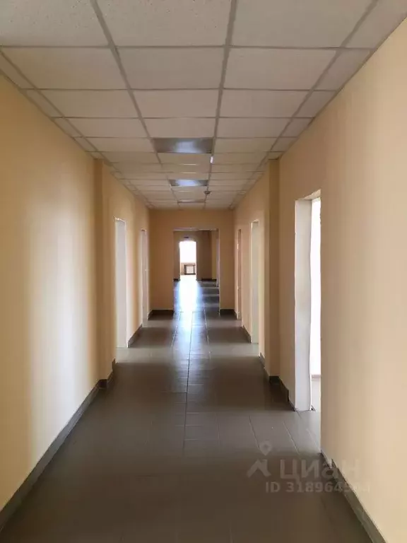 Помещение свободного назначения в Омская область, Омск ул. Ивана ... - Фото 1