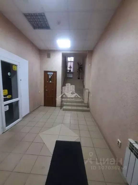 Офис в Белгородская область, Белгород ул. Щорса, 9А (28 м) - Фото 1