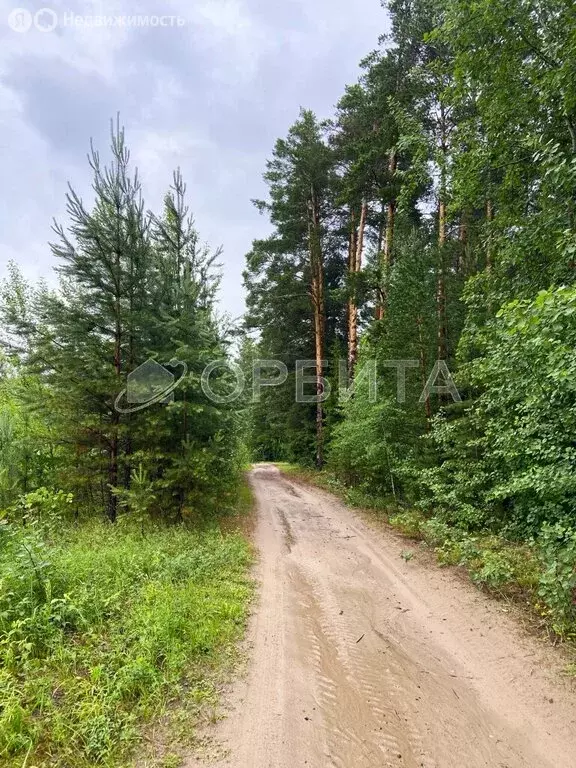 Участок в Нижнетавдинский район, СНТ Аракчино (33 м) - Фото 0