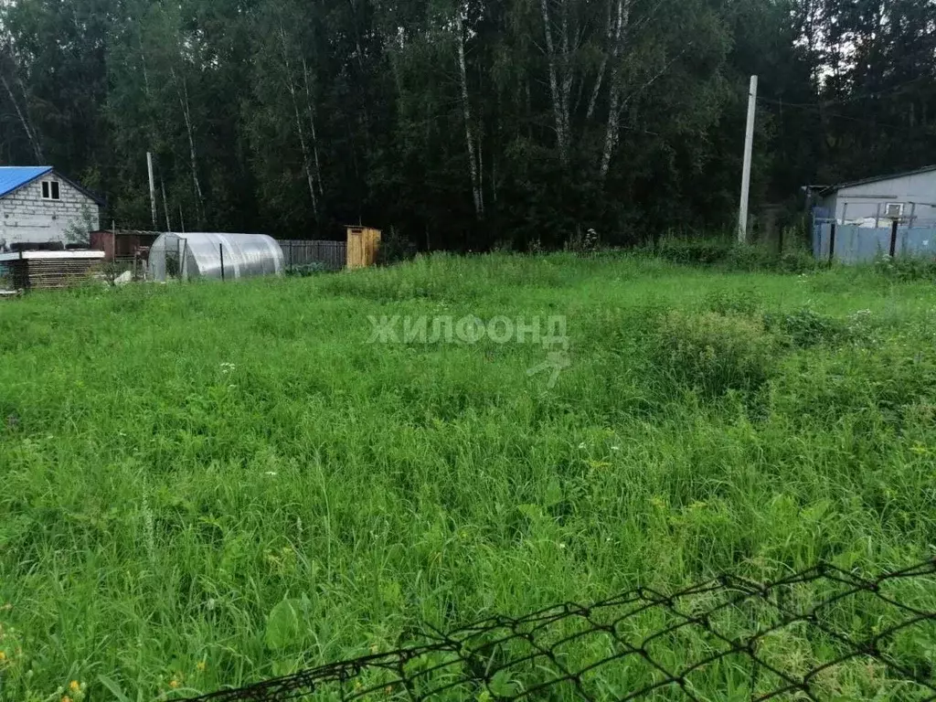 участок в новосибирская область, новосибирск ветеран снт, ул. логовая . - Фото 0