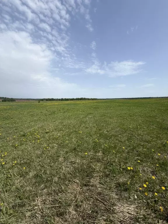 Участок в Татарстан, Лаишевский район, с. Пелево  (4.0 га.) - Фото 2