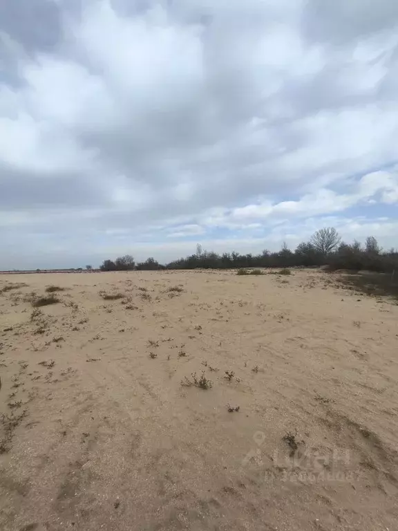 Участок в Крым, Ленинский район, Останинское с/пос, с. Песочное ул. ... - Фото 2