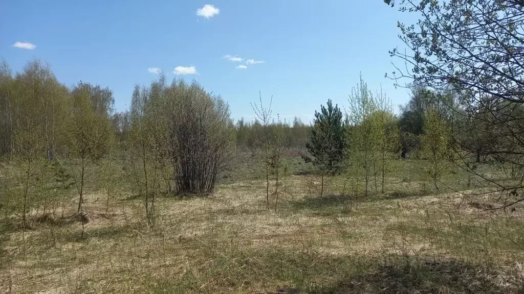 Участок в Ивановская область, Ивановский муниципальный округ, д. ... - Фото 1