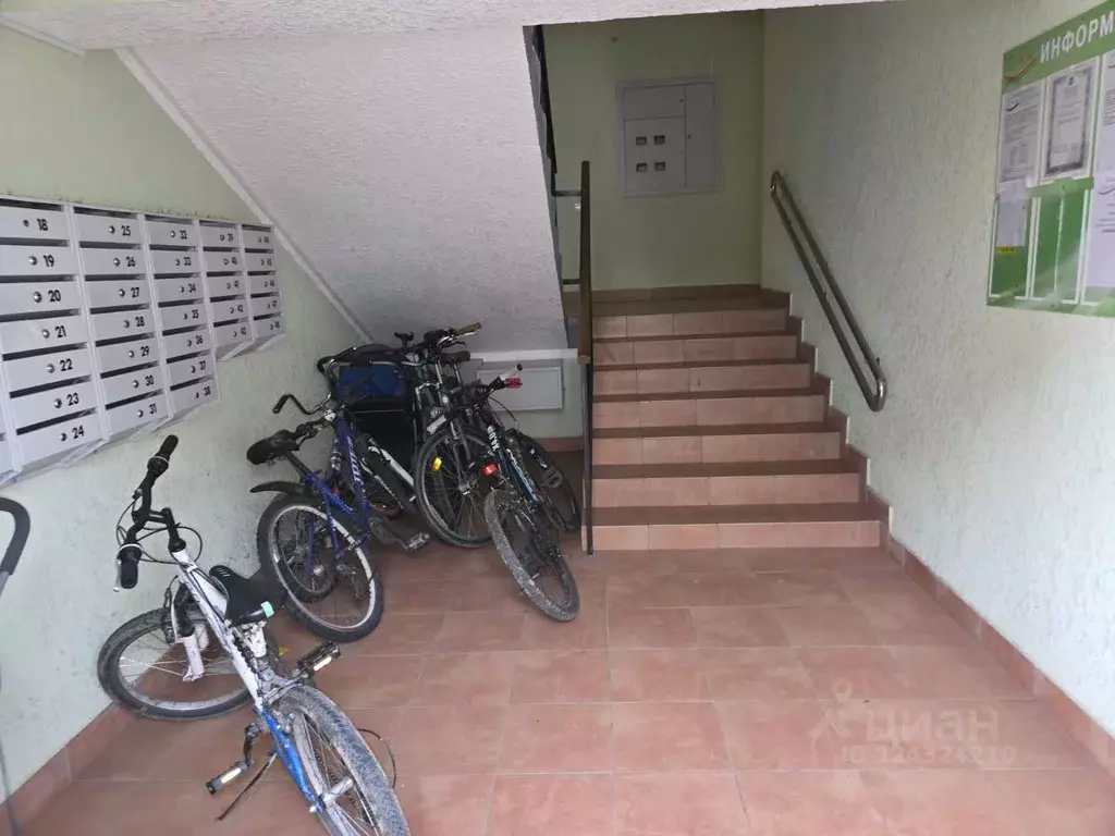 Студия Калининградская область, Гурьевск бул. Пражский, 7 (37.3 м) - Фото 2