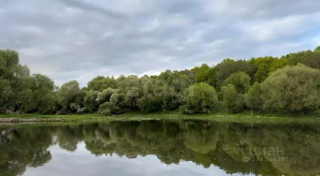 Участок в Калужская область, Калуга городской округ, д. Андреевское  ... - Фото 2
