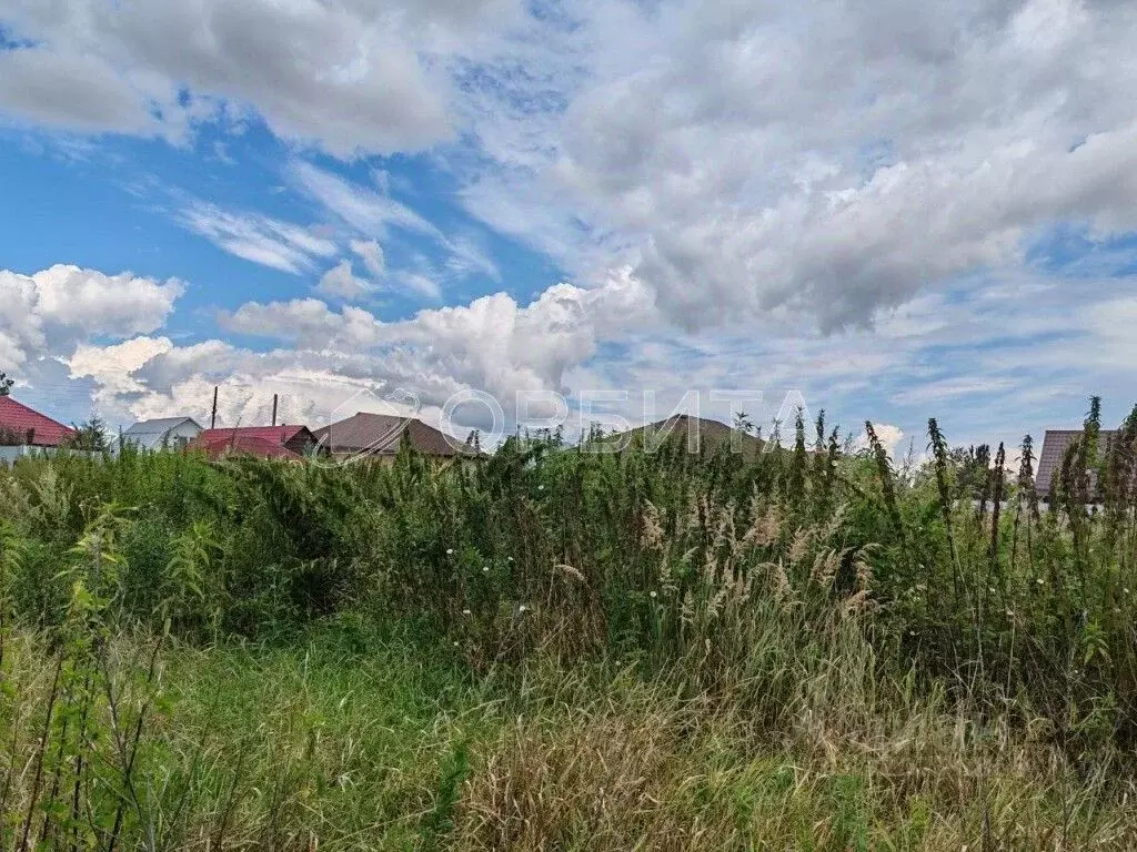 Участок в Тюменская область, Тюменский район, д. Паренкина Береговая ... - Фото 2