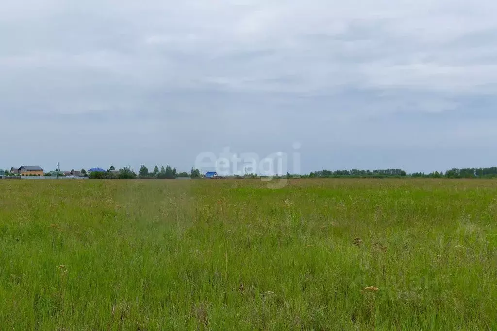 Участок в Тюменская область, Тюмень  (6.0 сот.) - Фото 0