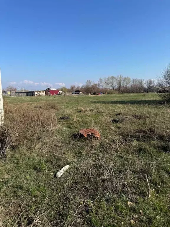 Участок в Саратовская область, Энгельсский район, Красноярское ... - Фото 1