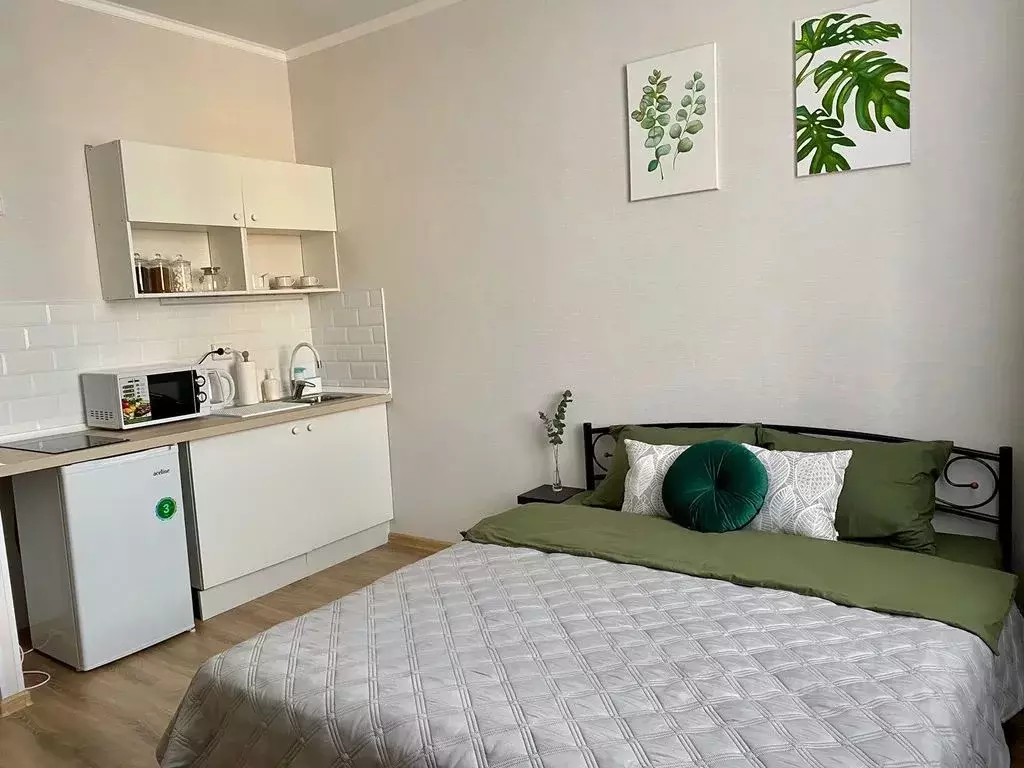Студия Татарстан, Казань ул. Абжалилова, 1/82 (18.0 м) - Фото 1