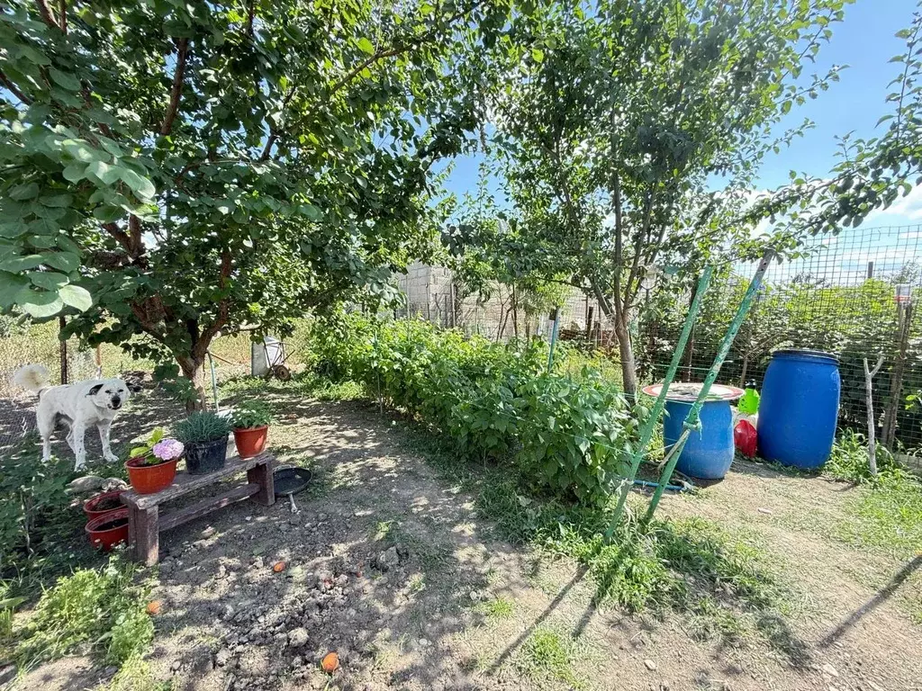 Участок в Кабардино-Балкария, Чегемский район, с. Нартан Адыгейская ... - Фото 2