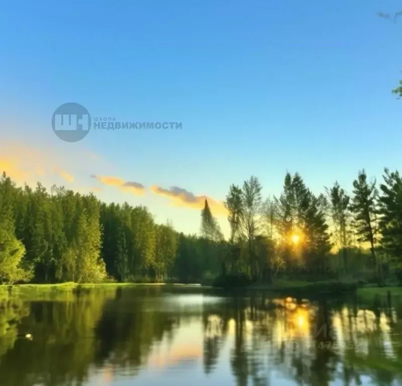 Участок в Ленинградская область, Всеволожский район, Романовское ... - Фото 1