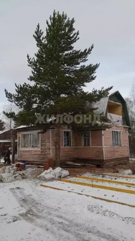 Дом в Архангельская область, Архангельск  (50 м) - Фото 1