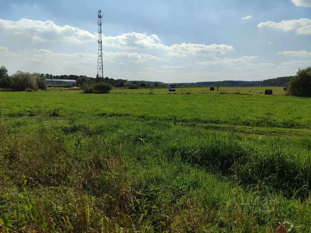 Участок в Московская область, Орехово-Зуевский городской округ, д. ... - Фото 0