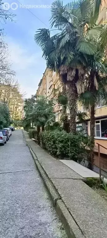 2-комнатная квартира: Сочи, микрорайон Донская, Донской переулок, 26 ... - Фото 1