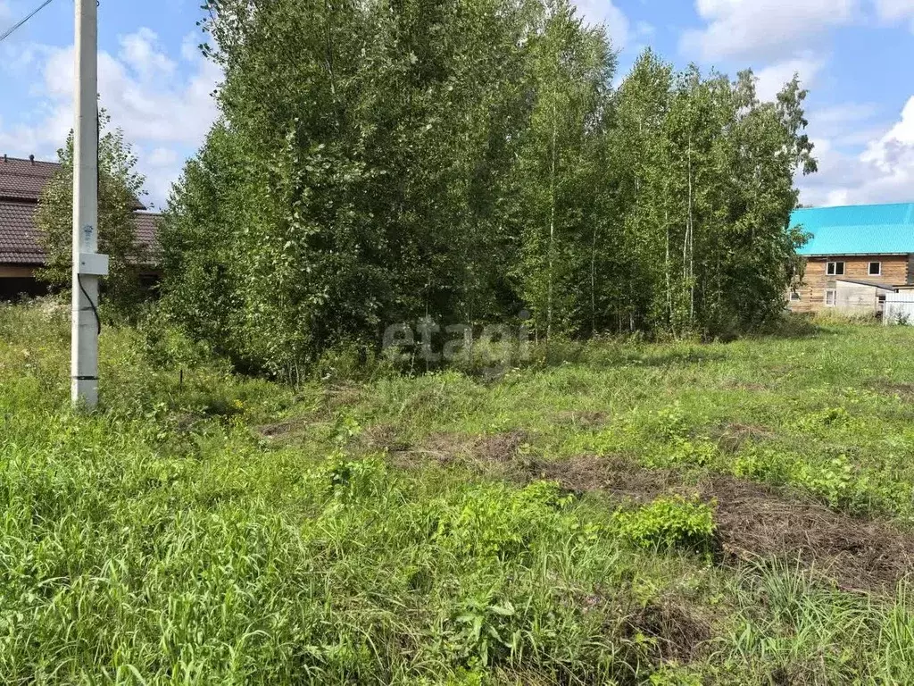 Участок в Новосибирская область, Новосибирский район, Станционный ... - Фото 0