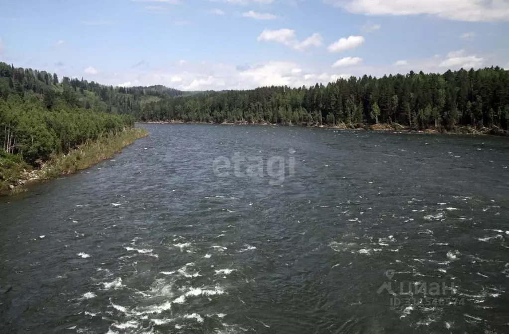 Участок в Алтай, Турочакский район, с. Верх-Бийск  (130.0 сот.) - Фото 0