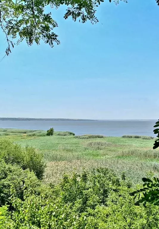 Участок в Ростовская область, Таганрог Лагуна ДНТ, 89 (7.8 сот.) - Фото 0