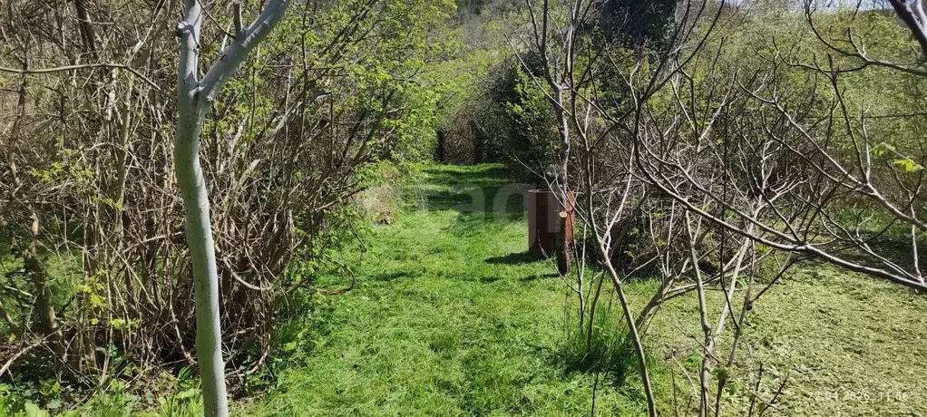 Участок в Краснодарский край, Геленджик городской округ, с. ... - Фото 1