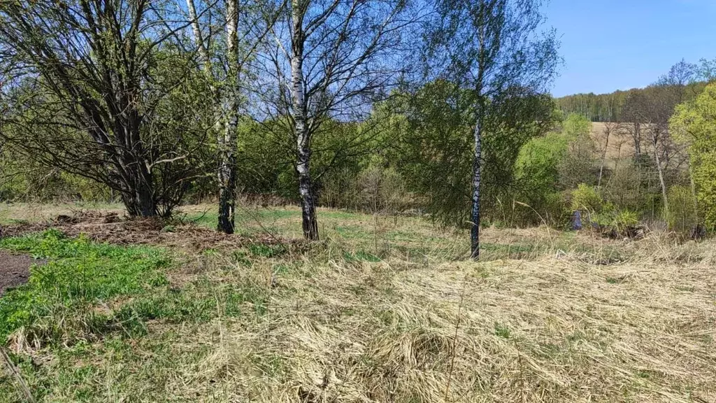 Участок в Московская область, Домодедово городской округ, д. ... - Фото 1