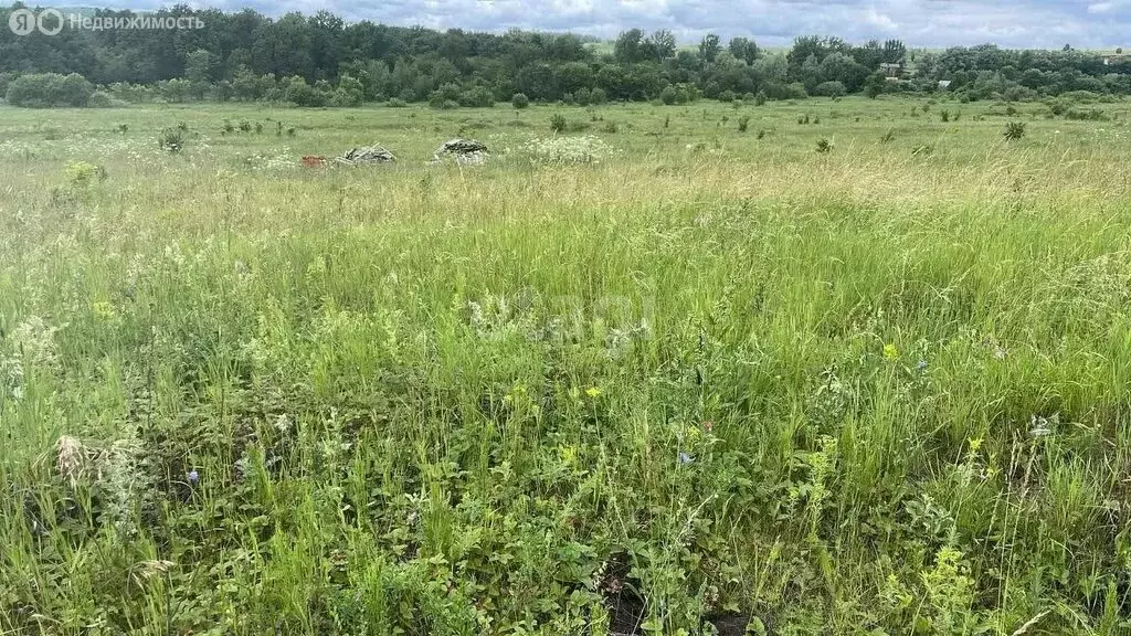 Участок в Иглинский район, Акбердинский сельсовет, село Карамалы ... - Фото 1