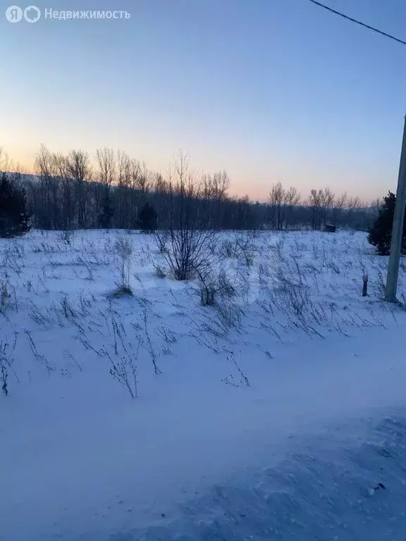 Участок в Майминский район, село Подгорное (15 м) - Фото 1