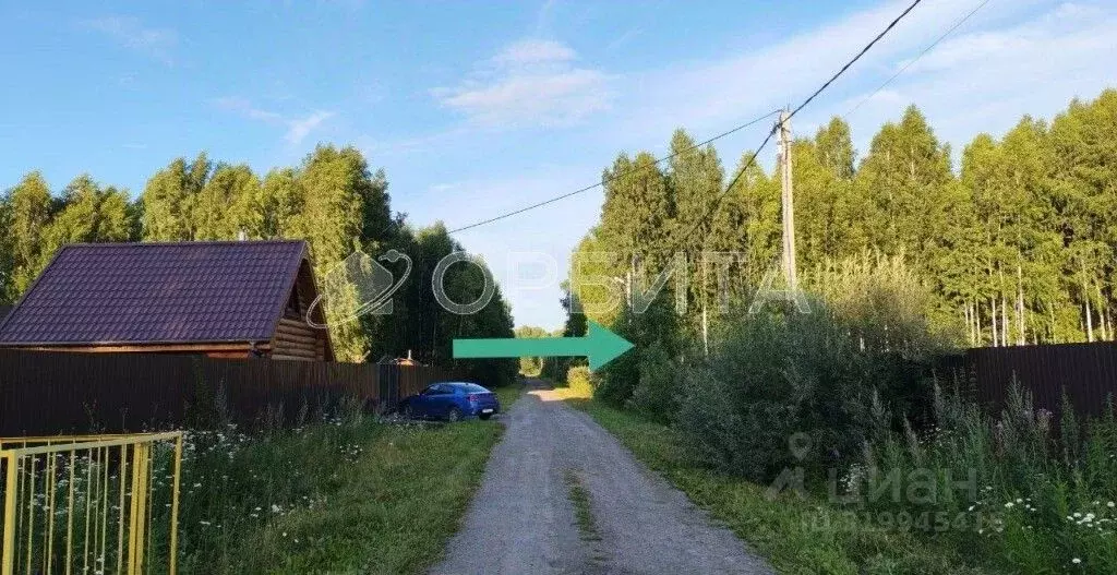 Участок в Тюменская область, Нижнетавдинский район, Березка СНТ 38 ... - Фото 1