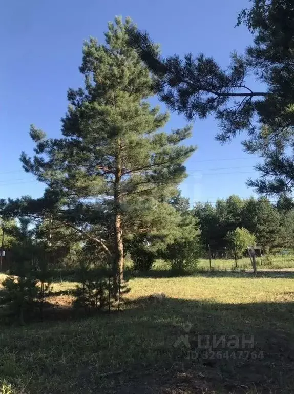 Участок в Воронежская область, Рамонский район, Айдаровское с/пос, ... - Фото 1