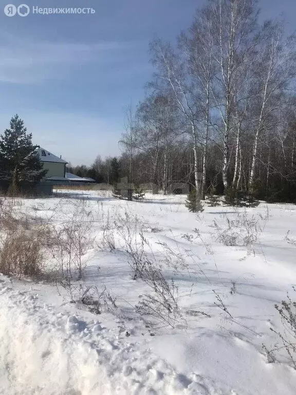 Участок в Курганская область, Кетовский муниципальный округ, деревня ... - Фото 1