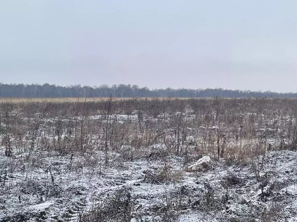 Участок в Московская область, Бронницы  (6.0 сот.) - Фото 0