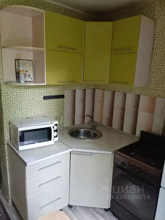 1-к кв. Алтайский край, Барнаул ул. Георгия Исакова, 233 (33.2 м) - Фото 2