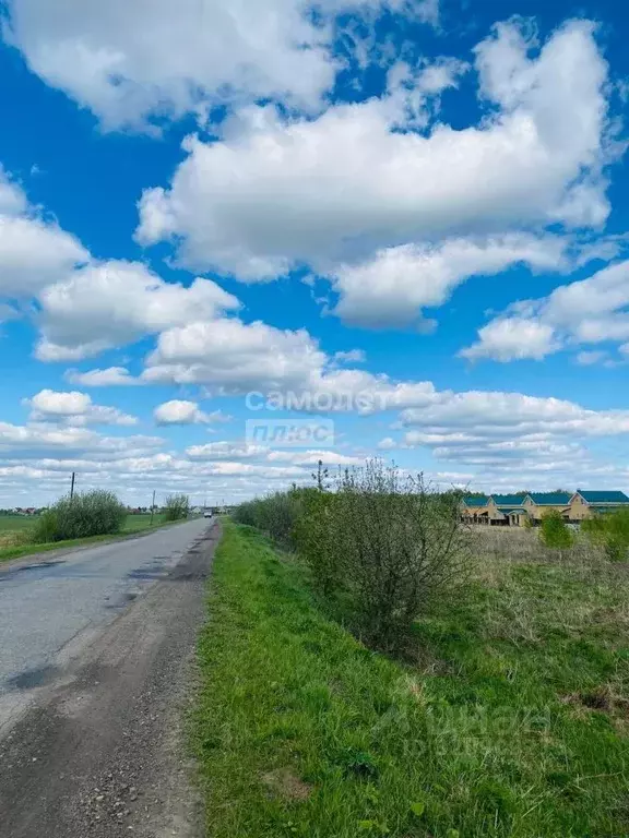 Участок в Нижегородская область, Бор муниципальный округ, д. Каликино ... - Фото 1