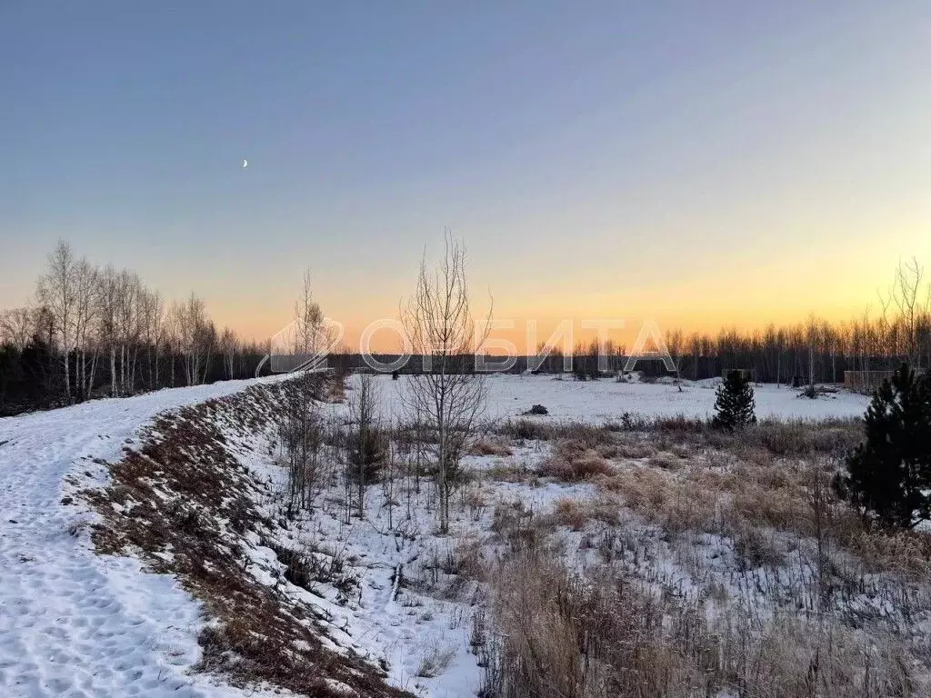 Участок в Тюменская область, Тюменский муниципальный округ, д. ... - Фото 2