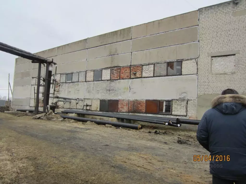 Помещение свободного назначения в Нижегородская область, Выкса ... - Фото 1