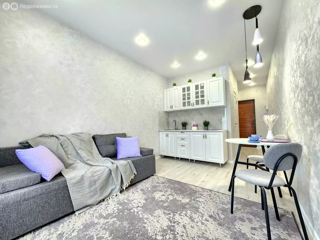 Квартира-студия: село Засечное, Фонтанная улица, 10 (22 м) - Фото 2