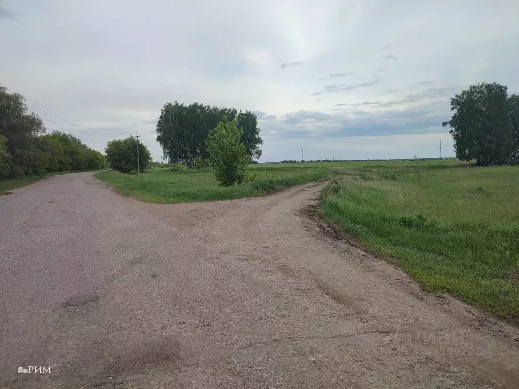 Участок в Самарская область, Красноярский район, Большая Каменка ... - Фото 1