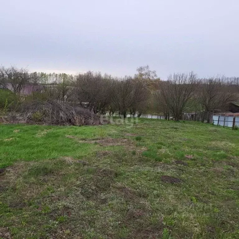 Участок в Белгородская область, Яковлевский муниципальный округ, с. ... - Фото 0