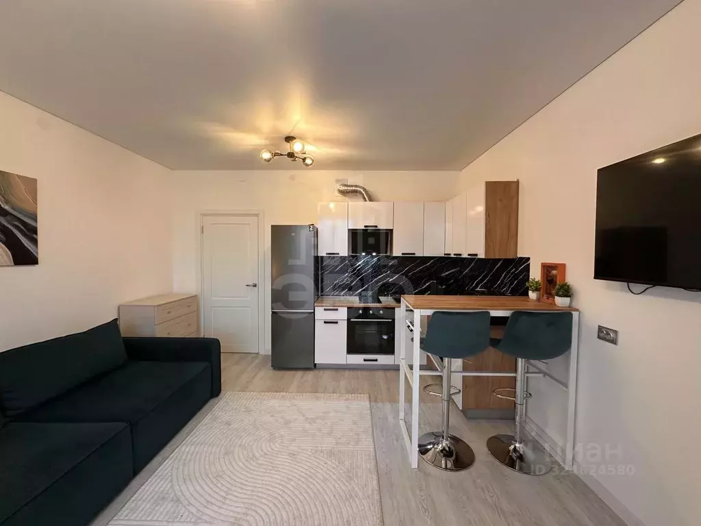 Студия Санкт-Петербург просп. Обуховской обороны, 36 (26.7 м) - Фото 0