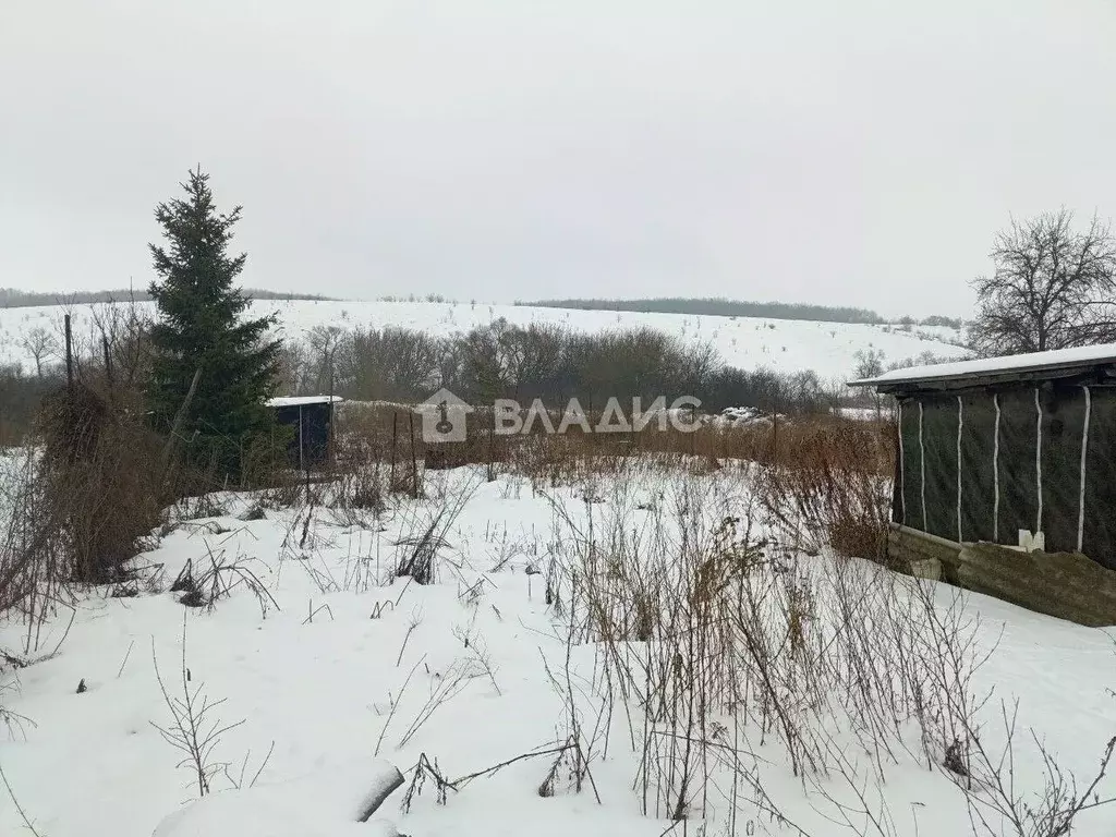 Дом в Воронежская область, Рамонский район, с. Русская Гвоздевка  (34 ... - Фото 2