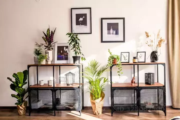 2-к кв. Краснодарский край, Сочи ул. Демократическая, 66 (49.0 м) - Фото 1