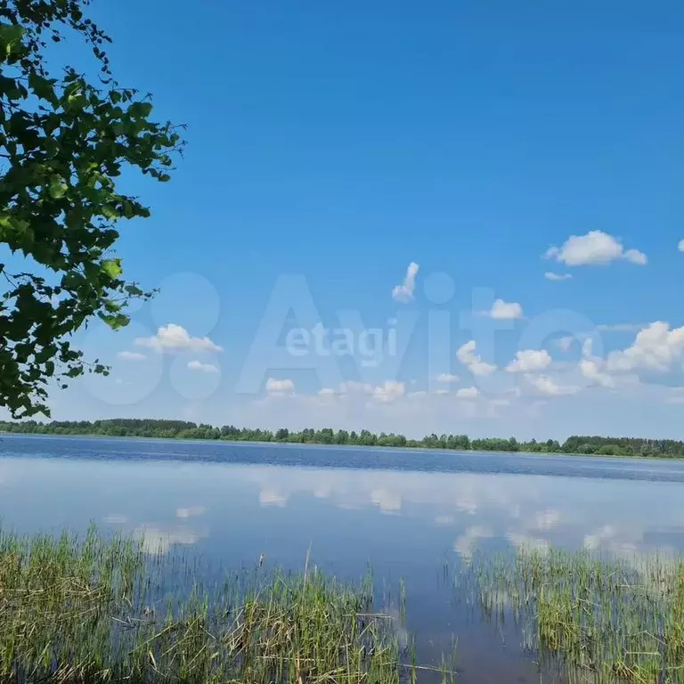 Участок 28,5 сот. (СНТ, ДНП) - Фото 0