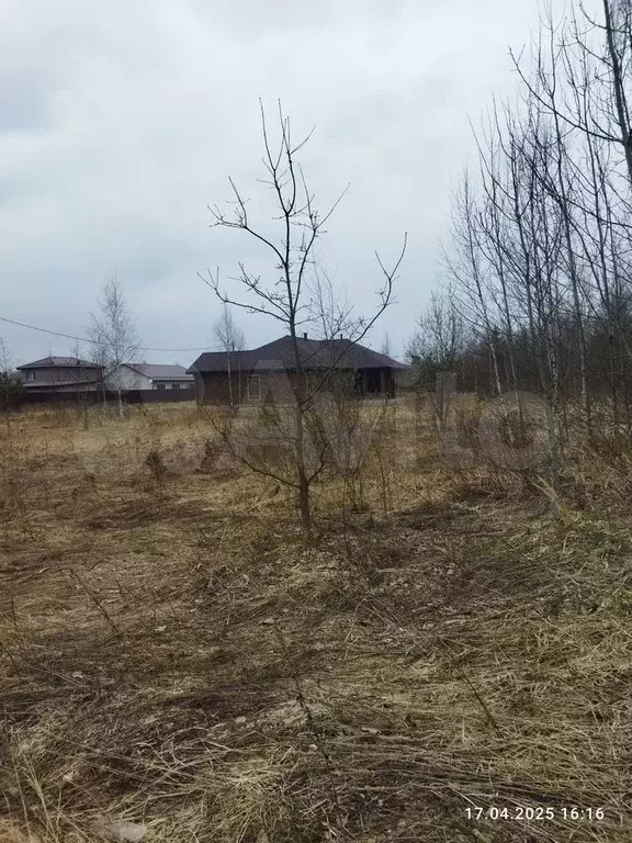 Участок 15 сот. (ИЖС) - Фото 0