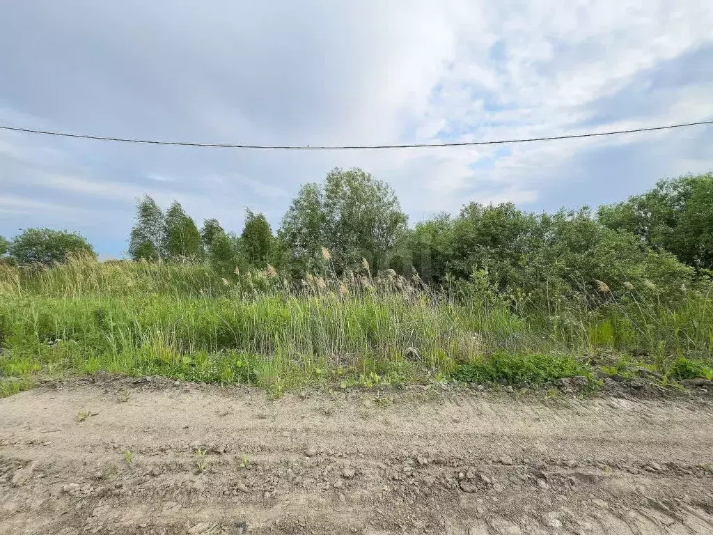 Участок в Тюменская область, Тюмень Матрешка СНТ,  (14.9 сот.) - Фото 1