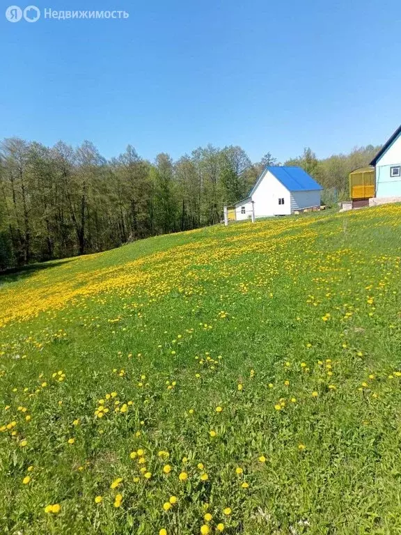 Участок в деревня Ягодная, улица Ушакова (56 м) - Фото 1