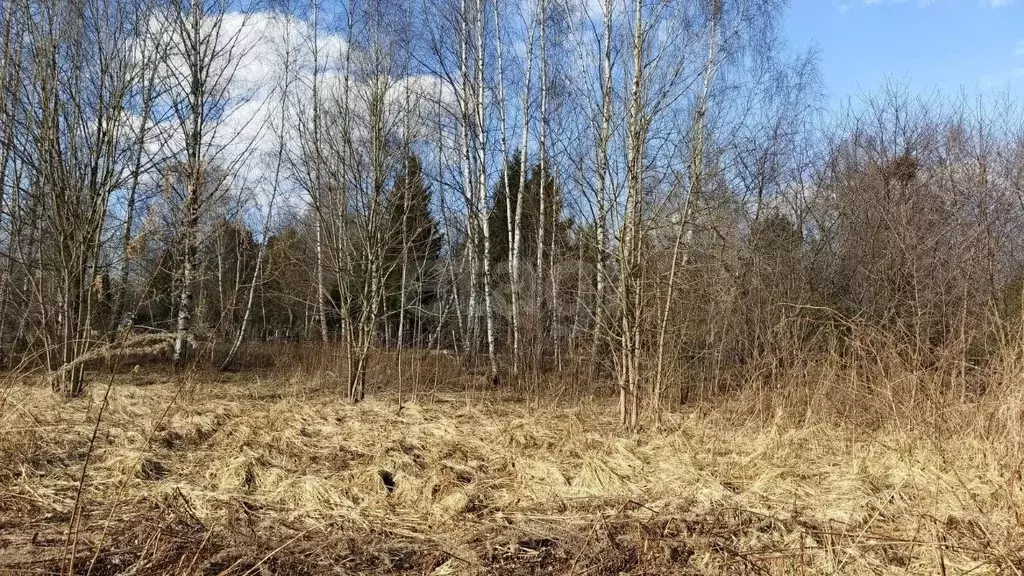 Участок в Смоленская область, Смоленск Подснежники садоводческое ... - Фото 1